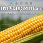 cornmagazine com